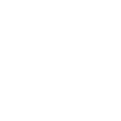Display Screen