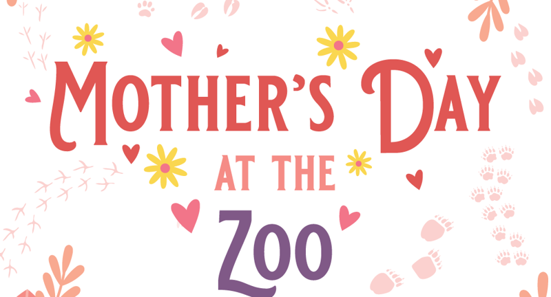 Mother's Day at the Zoo 