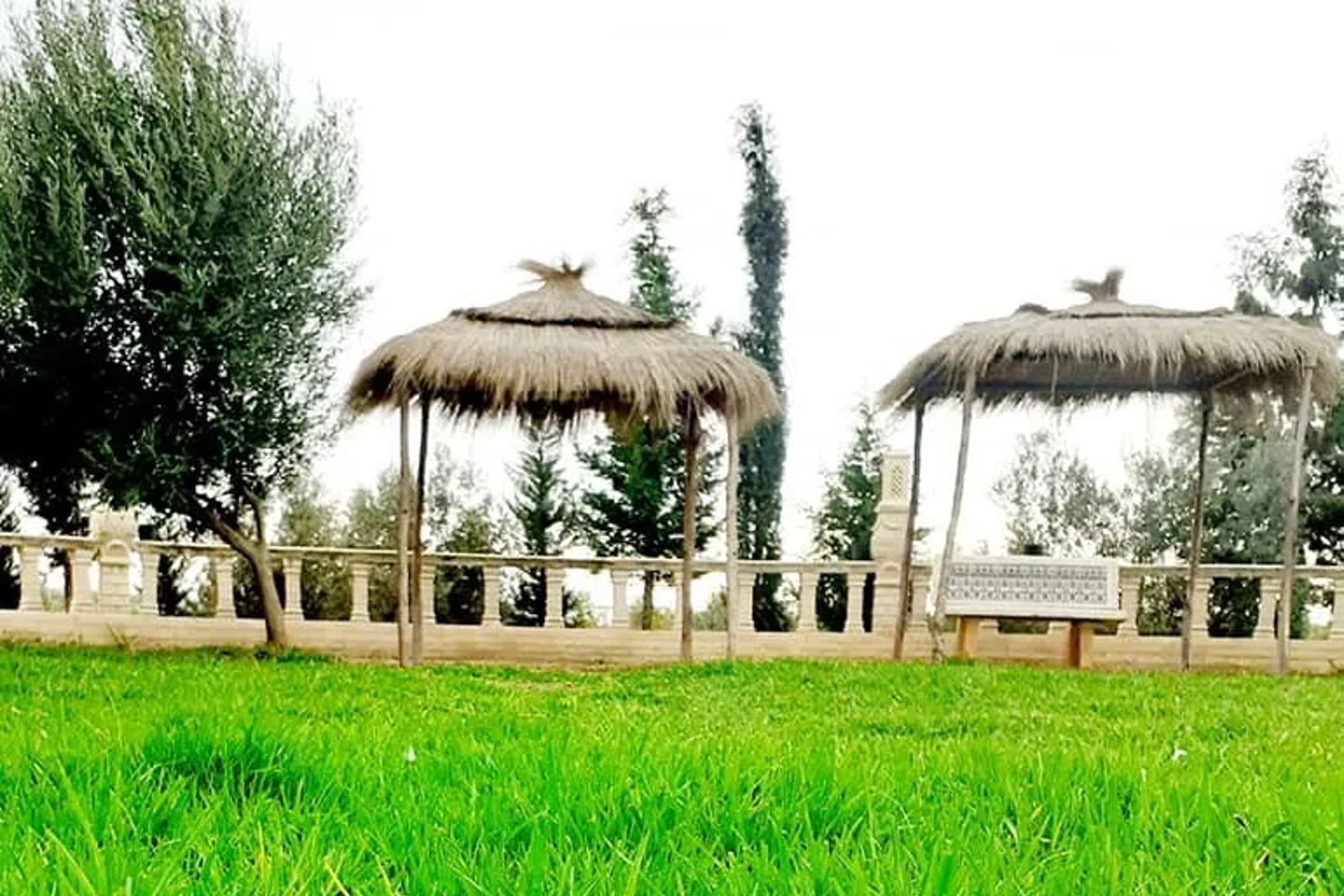 slider-image
