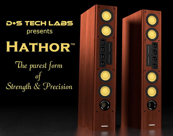 D+S Tech Labs Hathor