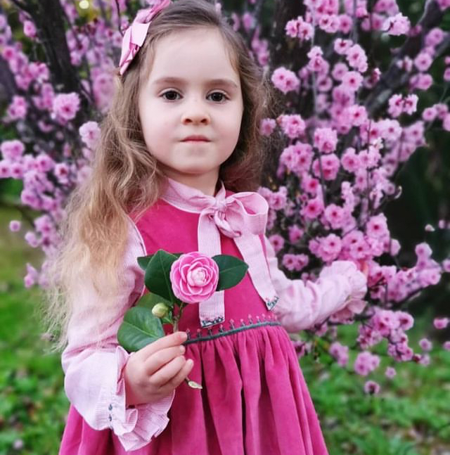 Rose winter smocked dress
