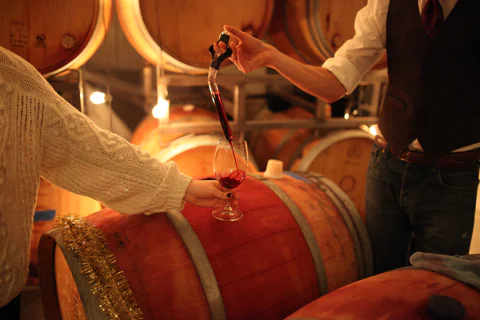 Wine Experience Cantina Urbana
