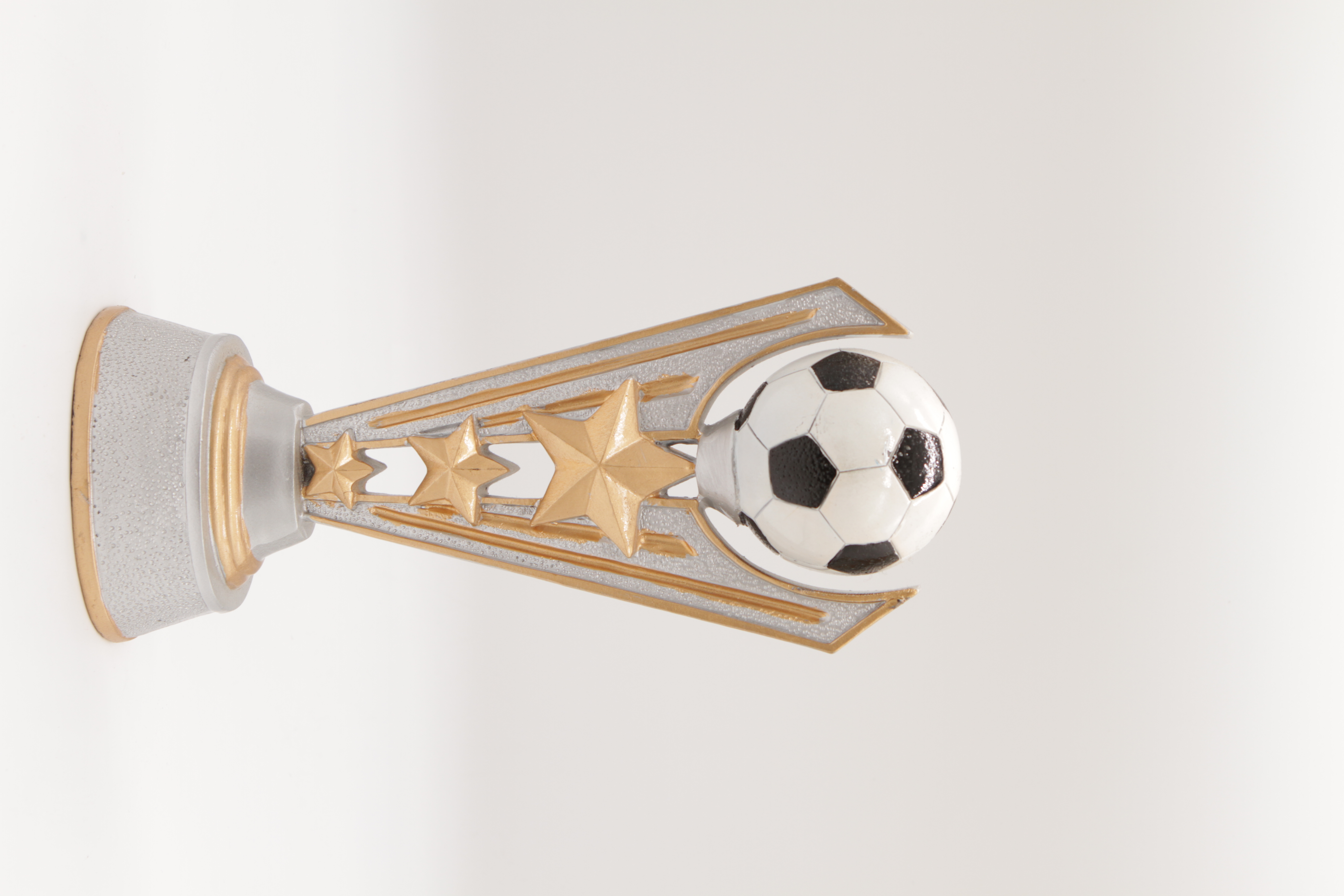 Custom Trophy