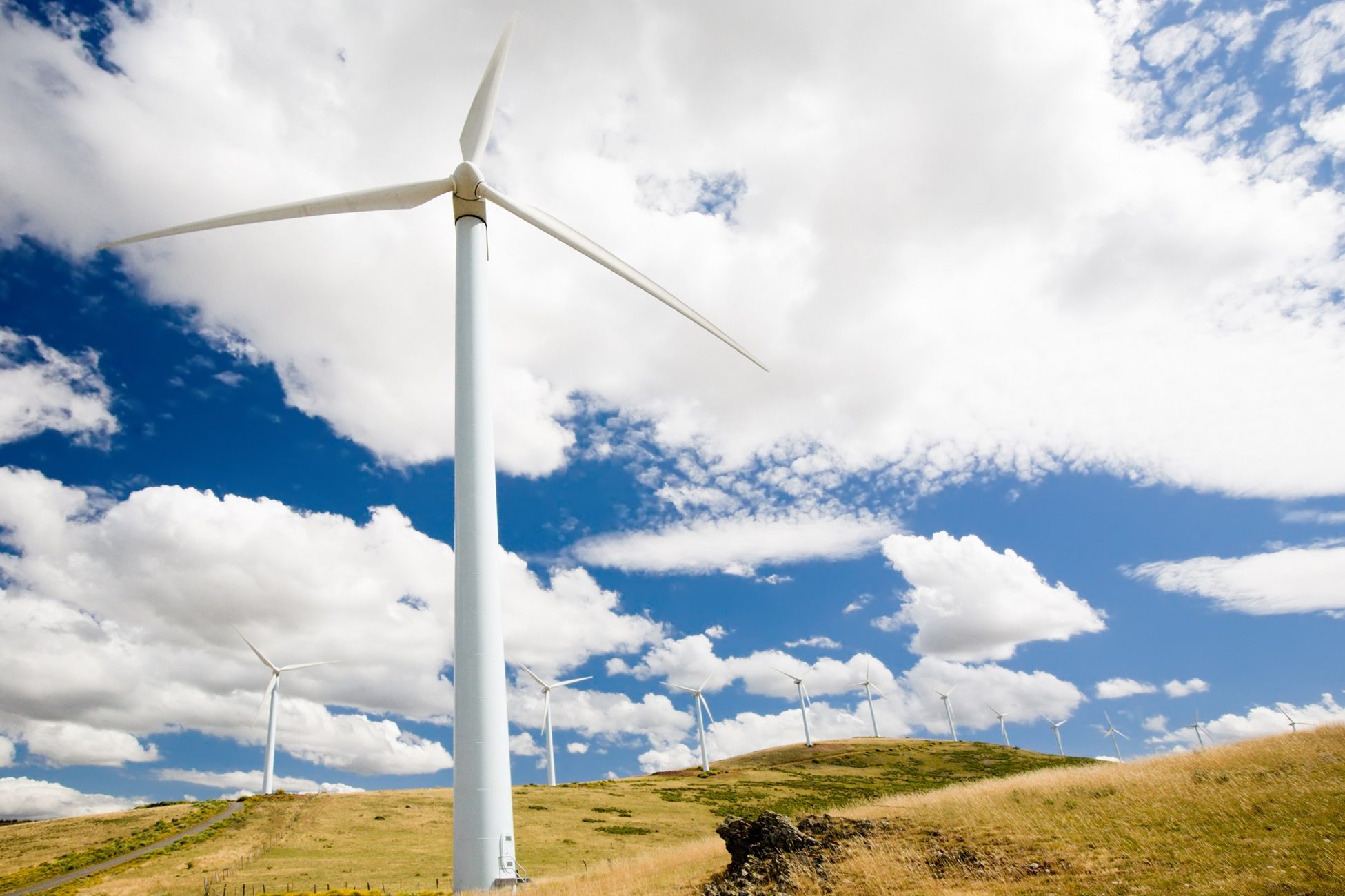 OCS NZ and Toitū Envirocare