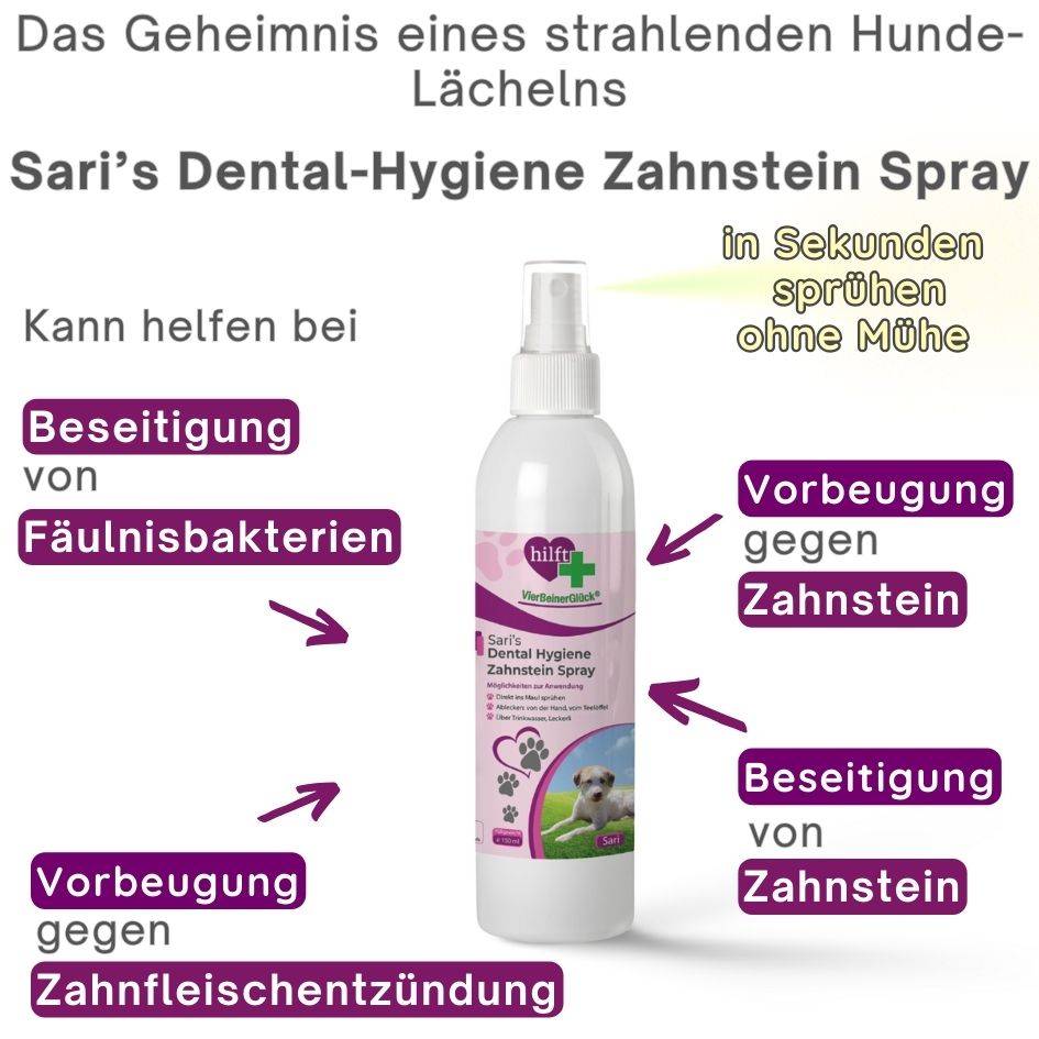 VierBeinerGlück Dental-Hygiene Zahnstein Spray kann helfen bei: Beseitigung von Fäulnisbakterien, Vorbeugung und Beseitigung von Zahnstein, Vorbeugung gegen Zahnfleischentzündungen