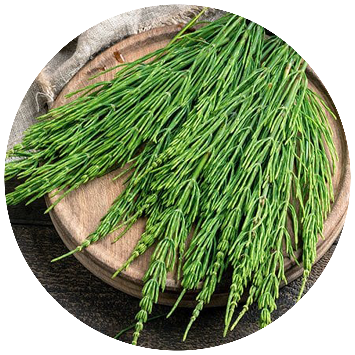 Bowl of Green powder made of spirulina found in the best Multivitamins for men