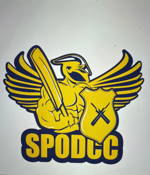 St Paul's Oakleigh District Cricket Club Logo