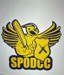 St Paul's Oakleigh District Cricket Club logo