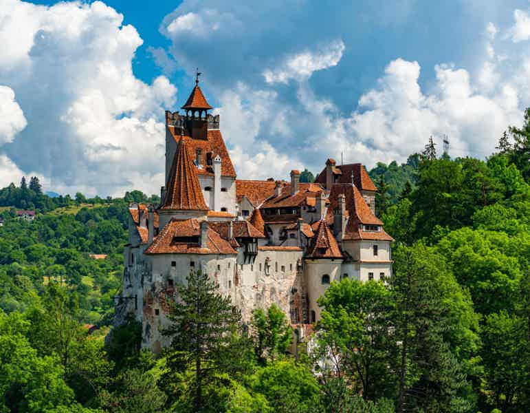Bran (Dracula) Castle, Bear Sanctuary, Rasnov Fortress & Palinca Distillery - photo 5