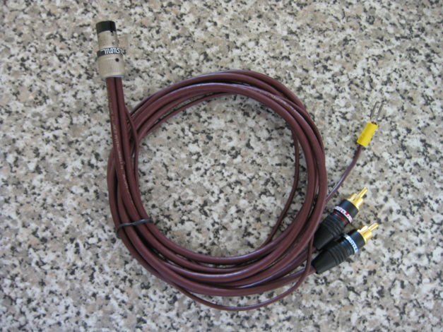 MONSTER CABLE,  DIN to RCA , Special Multi Phase Aligne...