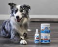 Alleviate dog anal gland discomfort