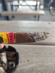 Cigar Session Photo