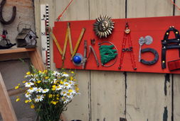 wondabaschildblumen