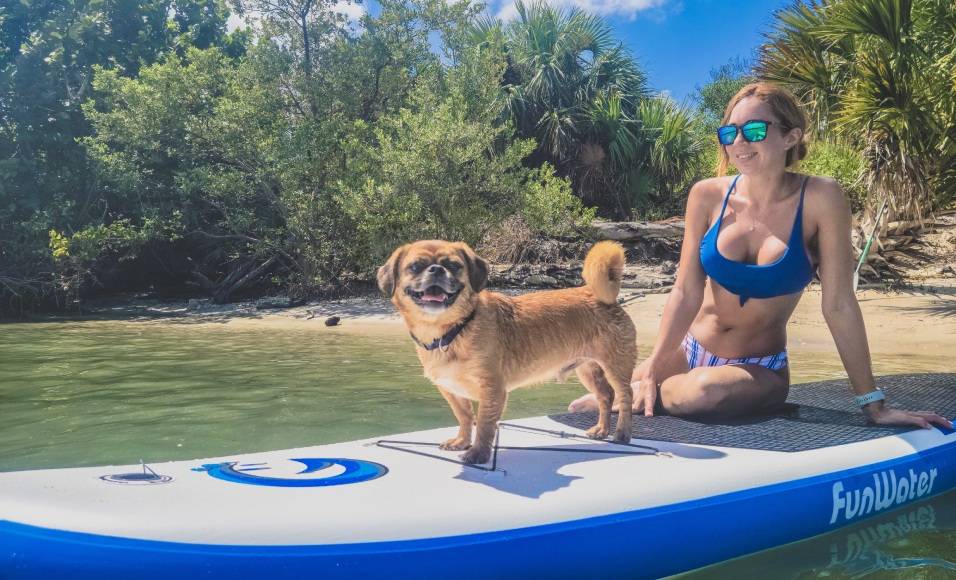 toronto stand up paddle board can support adults and dog on Canada calm lake