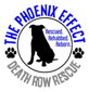 Phoenix Effect Death Row Rescue logo