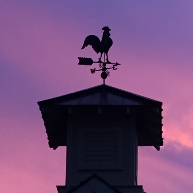 Silhouette of the rooster wind vane on top of the school building