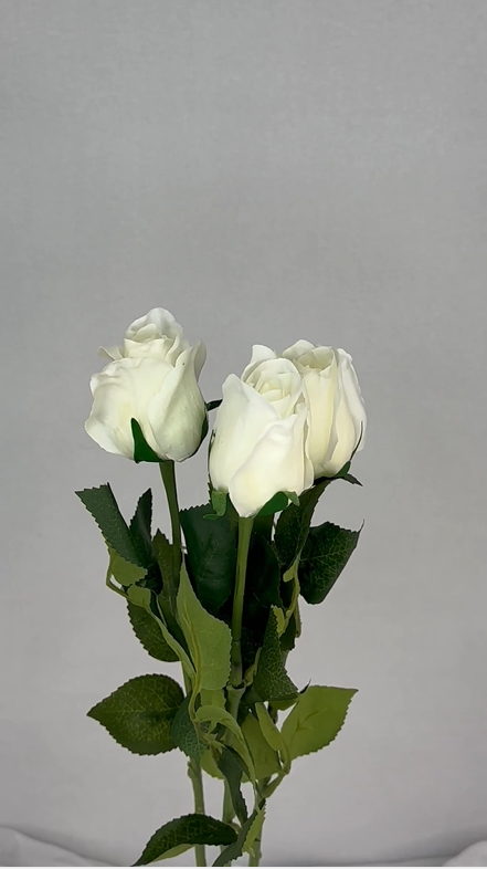 White Real Touch Open Bud Rose - Realistic Artificial Flowers - Image 4