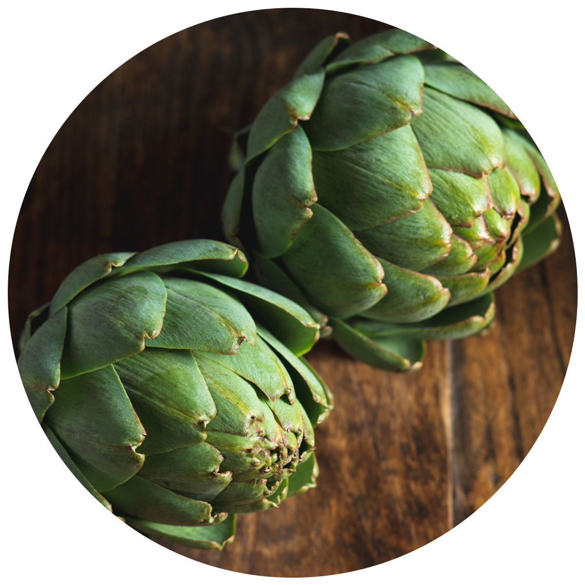 Artichokes as a source of Prebiotics in the best probiotics in singapore