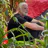 Redelman avatar