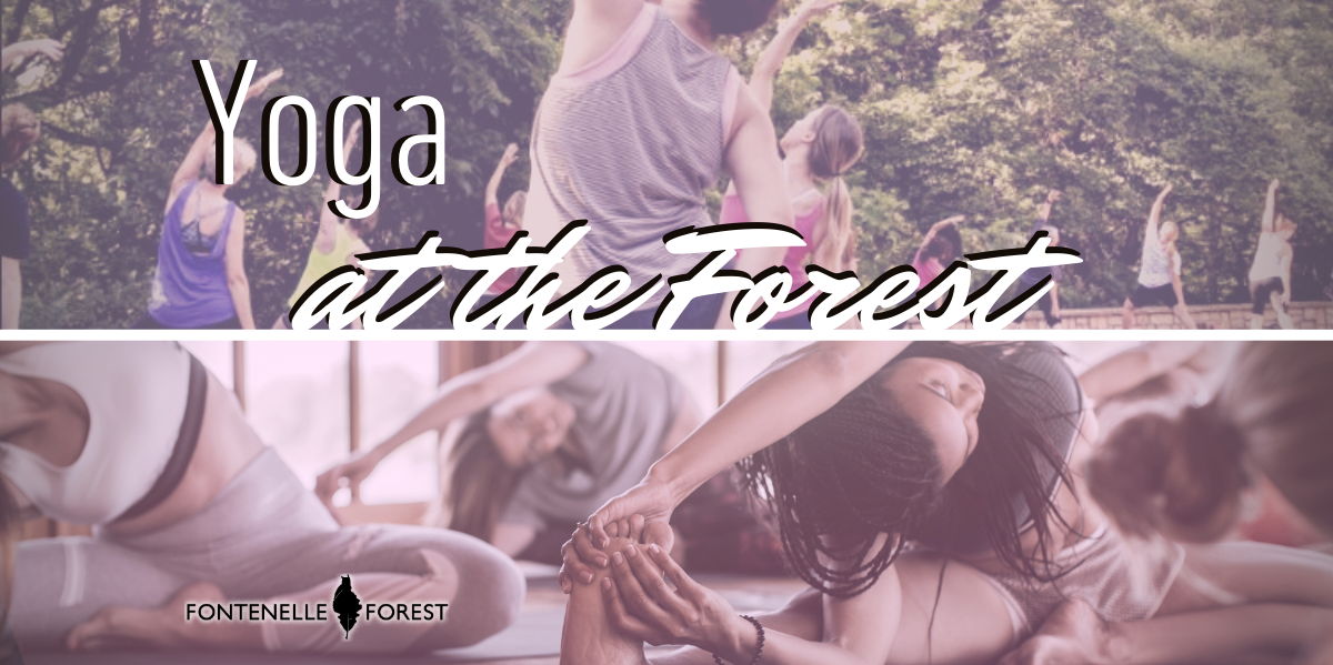 Yoga at the Forest promotional image