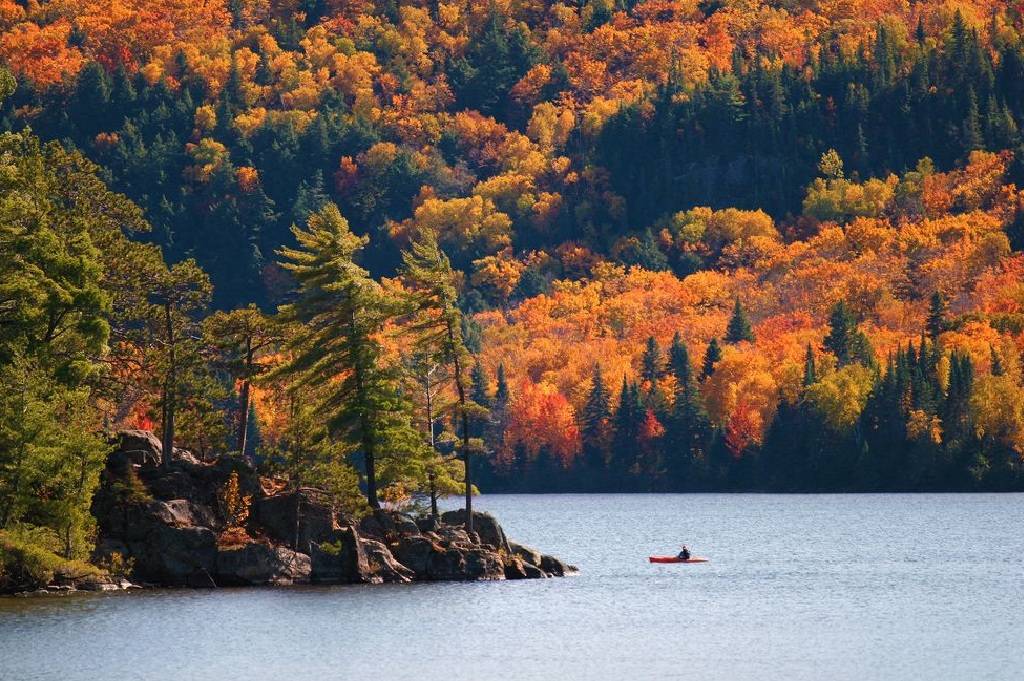 inflatable SUP board for adults in Algonquin Provincial Park Canada