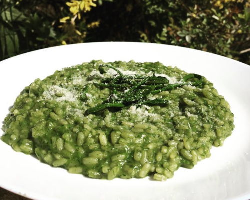 Cooking classes Cremona: Rural experience: wild herbs and typical dishes