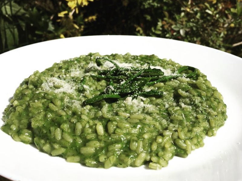 Cooking classes Cremona: Rural experience: wild herbs and typical dishes