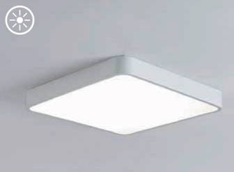 ceiling lighting - tft office