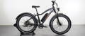 Rad Power Bikes RadRover 5 fat tire ebike