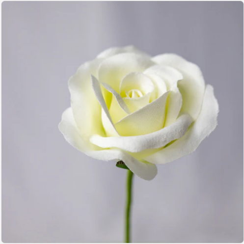 White Velveteen Rose Bloom - Realistic Artificial Flowers - Image 4
