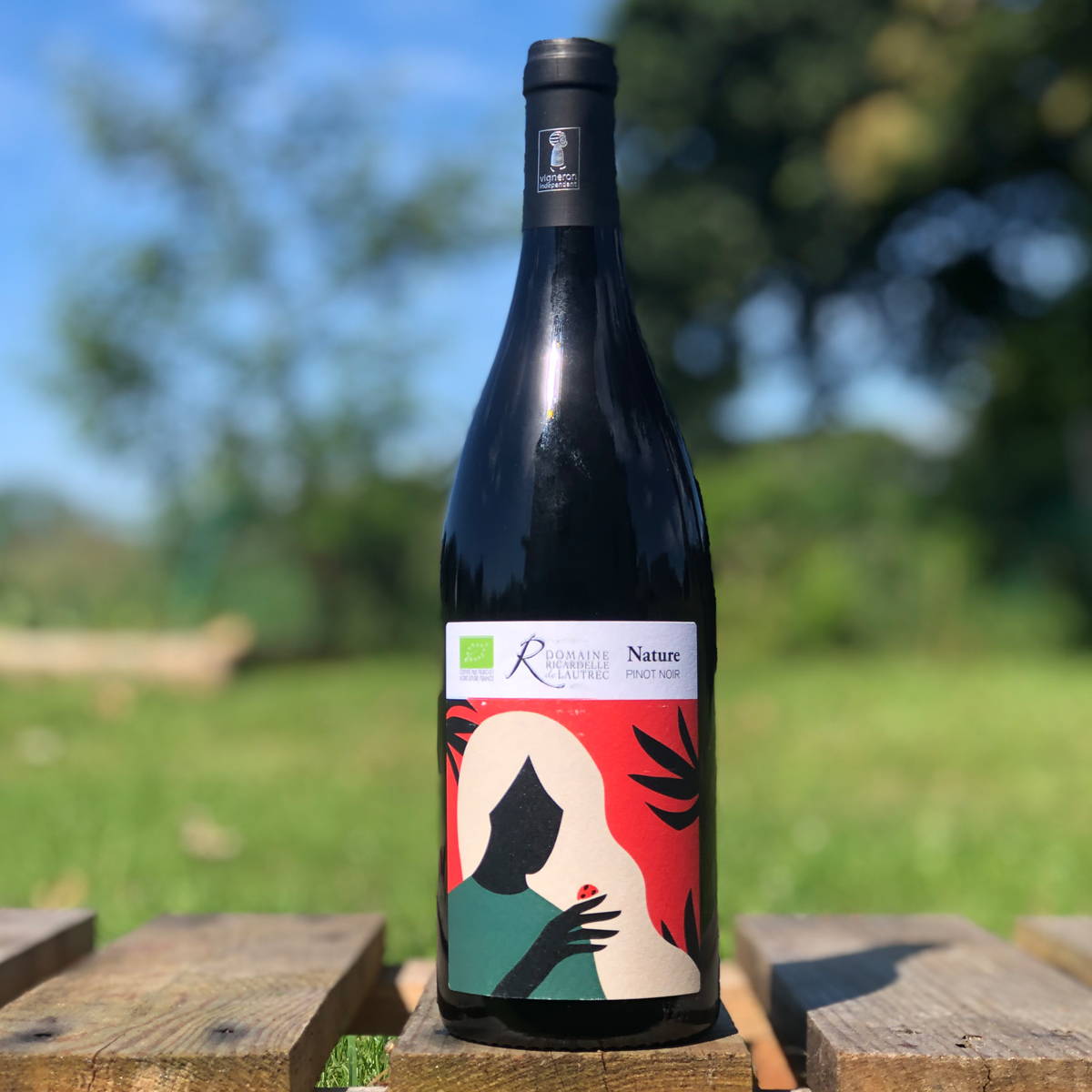 Ricardelle de lautrec, lionel boutié, la clape, minervois, corbières, languedoc,France, vin nature, rawwine, organic wine, vin bio, vin sans intrants, bistro brute, vin rouge, vin blanc, rouge, blanc, nature, vin propre, vigneron, vigneron indépendant, domaine bio, biodynamie, vigneron nature, cave vin naturel, cave vin, caviste, vin biodynamique, bistro brute, Quimper, Finistère, pinot noir nature, nature, pinot noir