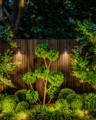 Havit outdoor wall lights and downlights illuminating a modern home exterior at dusk with pool and open-plan living beyond.