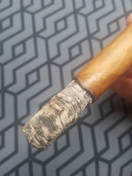 Cigar Session Photo