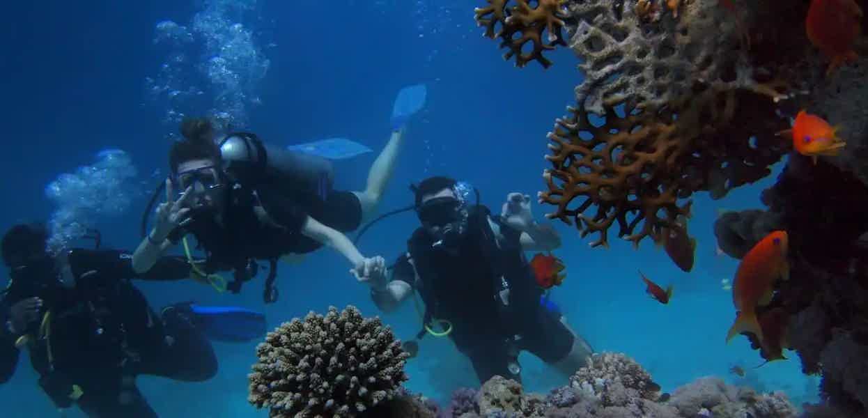 Diving in Side from Belek - photo 3