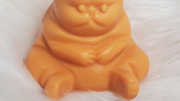 Main Content Image