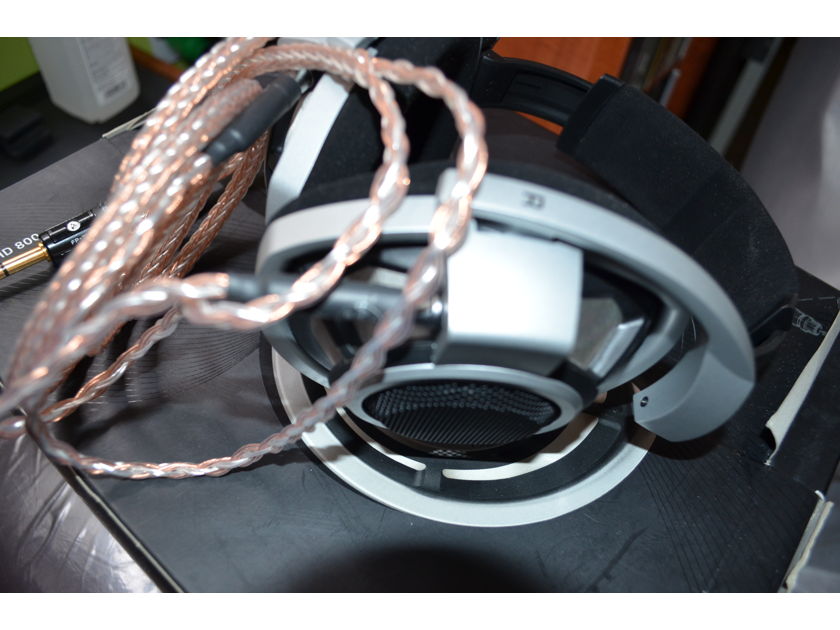 SENNHEISER HD800 with ALO Reference 16 upgrade cable!
