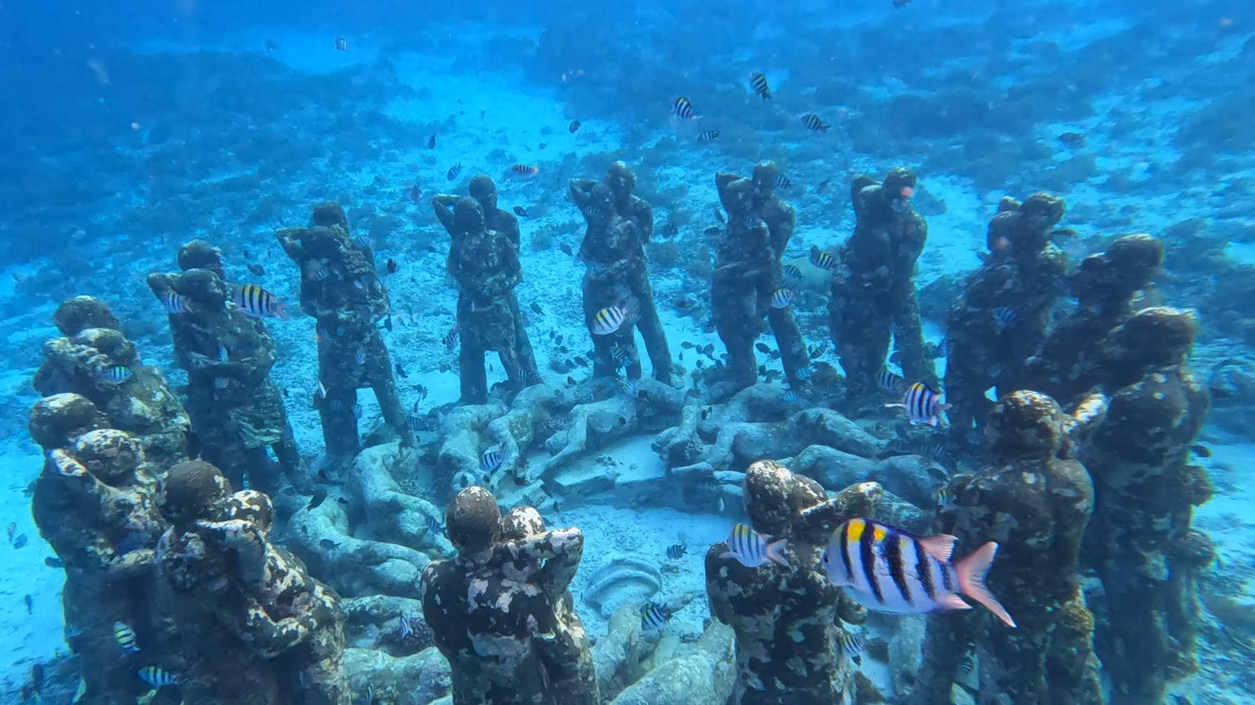 Image Underwater statues, Turtle and corals snorkelling