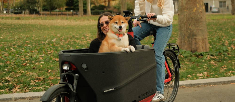 A Cargo bike with a dog and lady in
