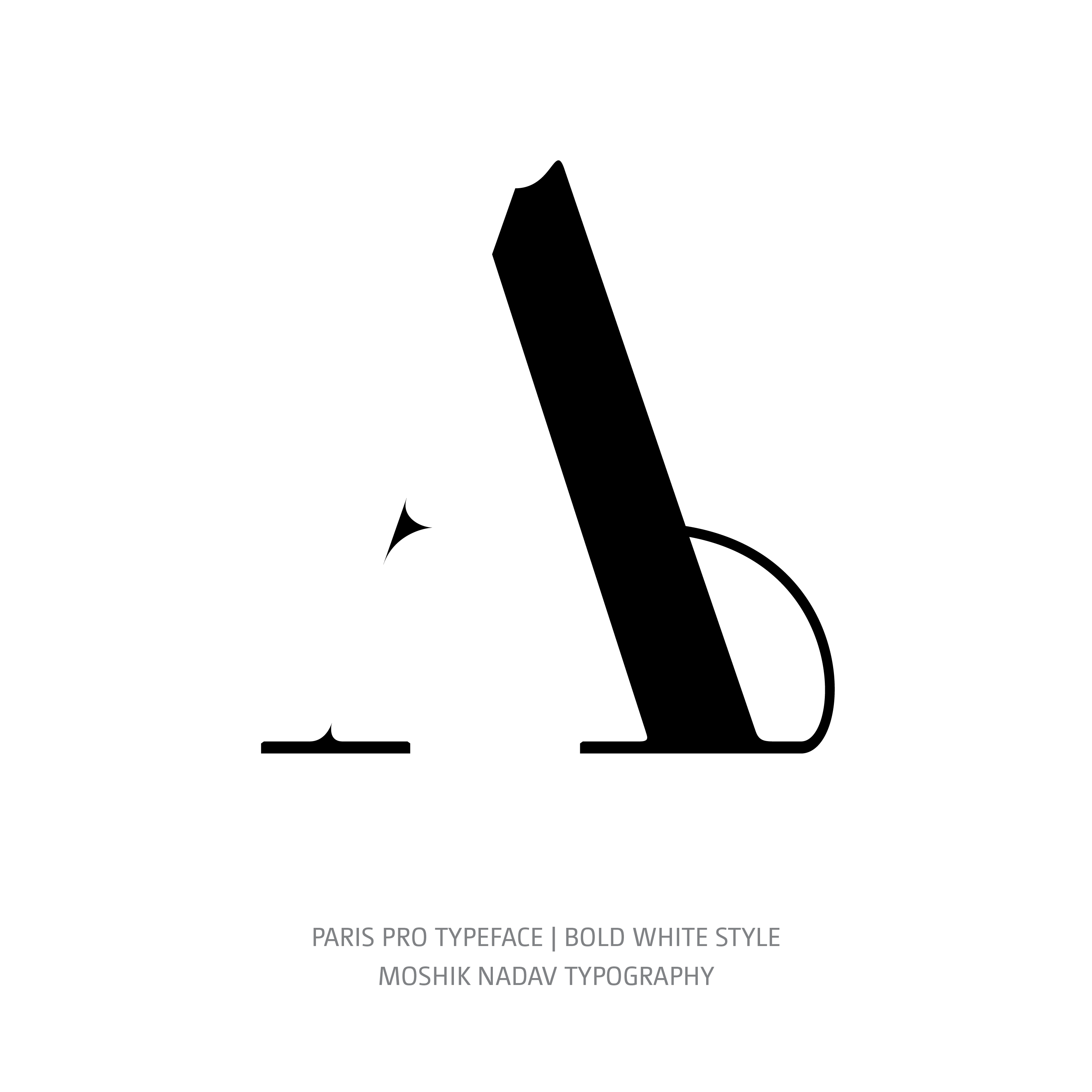 Paris Pro Typeface Bold White glyph
