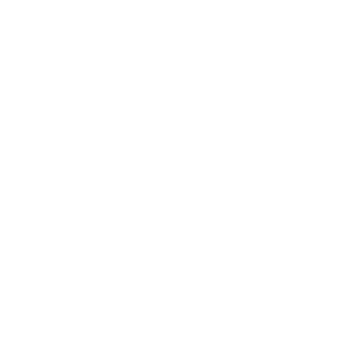 Icon-Ecuadors_NGO_Premium_Cacao