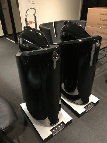 B&W 800D2 Loudspeakers  in black color box and papers