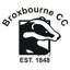 Broxbourne cricket Club logo