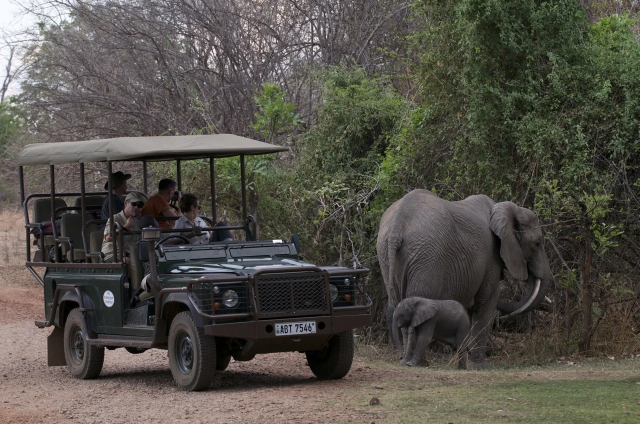 6-Day Discover Zambia’s Iconic South Luangwa National Park Safari
