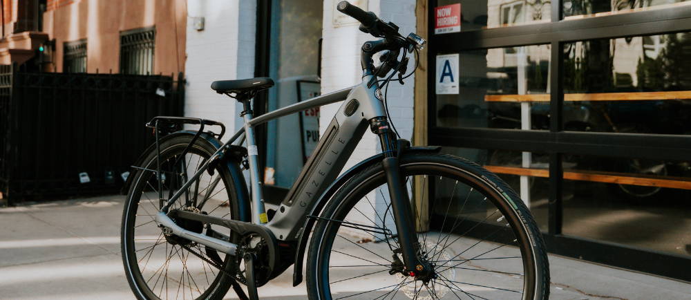 Bluejay Premiere electric bike frame