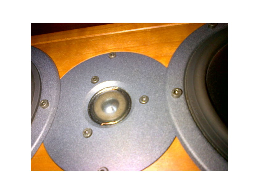 Dynaudio Contour T2.5 pair - Cherry - Matching T2.1 also available