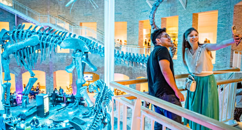 Fernbank After Dark