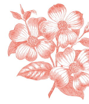 Red Flower Illustration