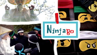 ninjagocollage zu