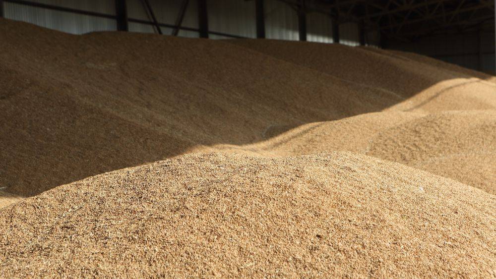 Ersnt conservation seeds storage monitoring with Quanturi system