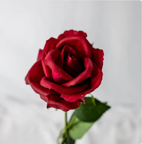 Red Open Bloom Real Touch Rose - Realistic Artficial Flowers - Image 2